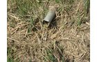 Property photo 38 - 172 Acres Offered in 3 Tracts - Prime Farmland